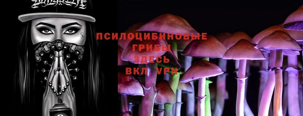 гашиш Бородино